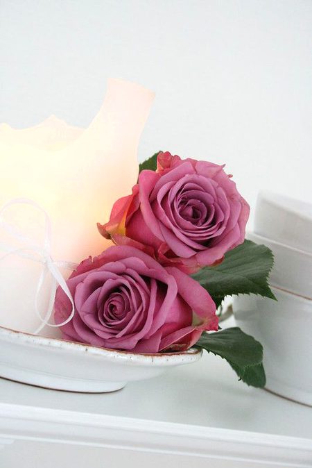 Beautiful Nature image