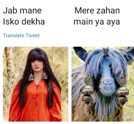 Memes & Satire image