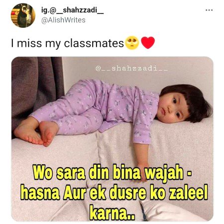 Memes & Satire image