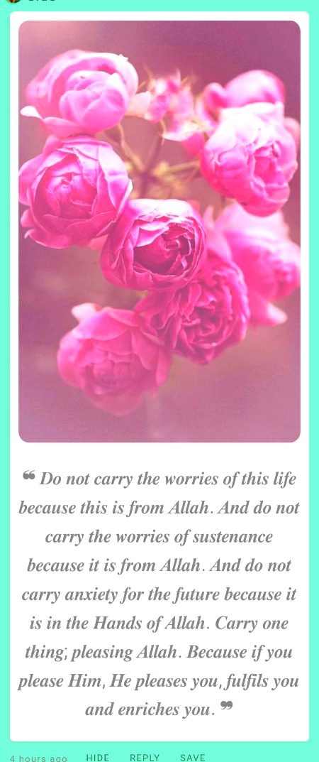 Islamic Quotes image