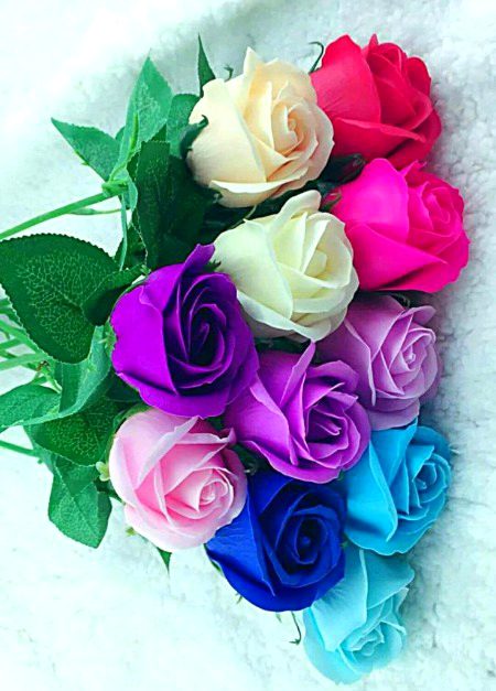 Beautiful Nature image
