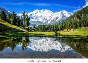 Beautiful Nature image
