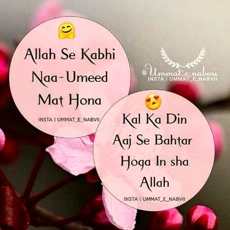 Beshaq...