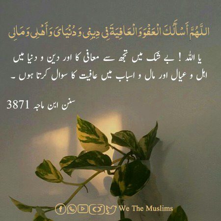 Islamic Quotes image