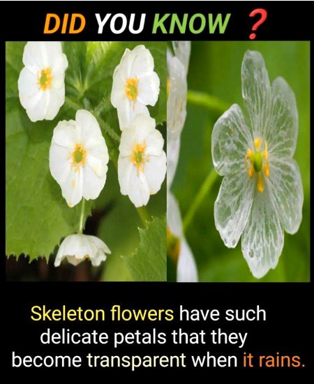 Interesting Posts image