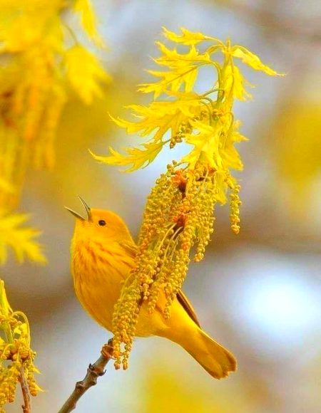Beautiful Nature image