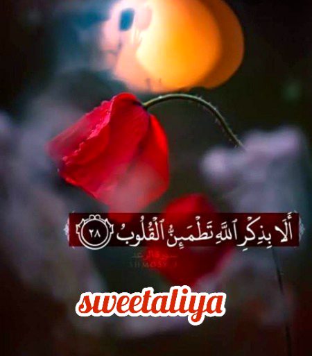 Islamic Quotes image