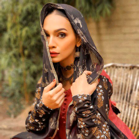 Pakistani Celebs image