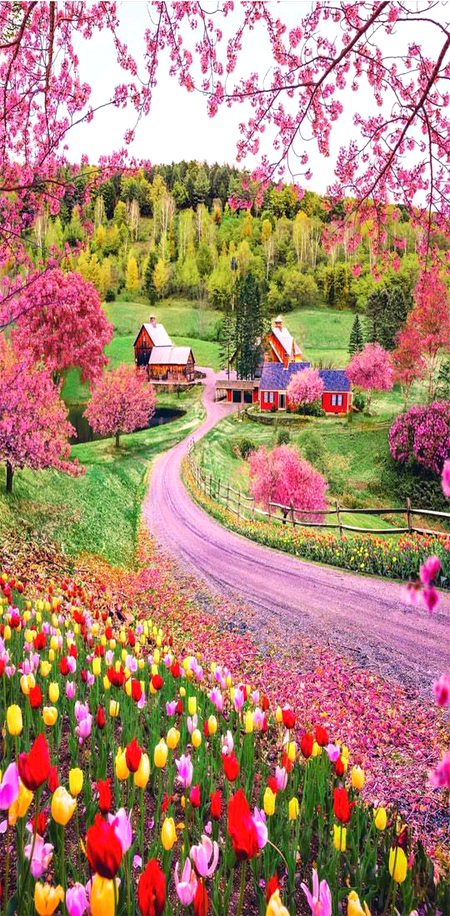 Beautiful Nature image