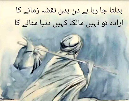 🌹 merijan-16 🌹