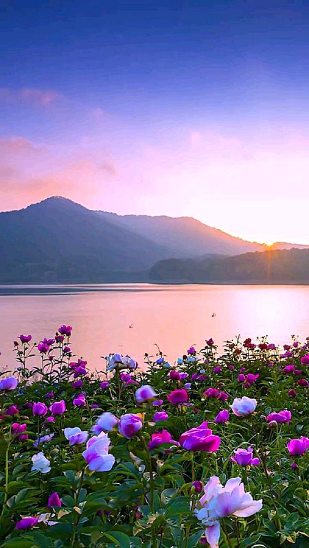 Beautiful Nature image