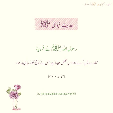 Islamic Quotes image