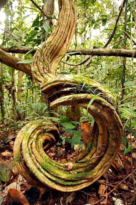 Beautiful Nature image