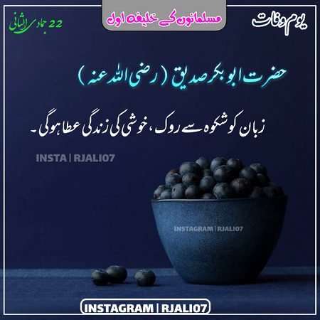 Islamic Quotes image