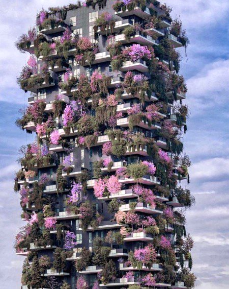 Beautiful Structures image