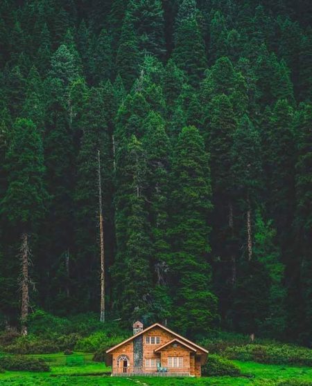 Beautiful Nature image