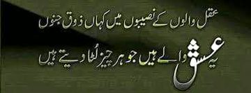 کہا ذوقِ عشقِ