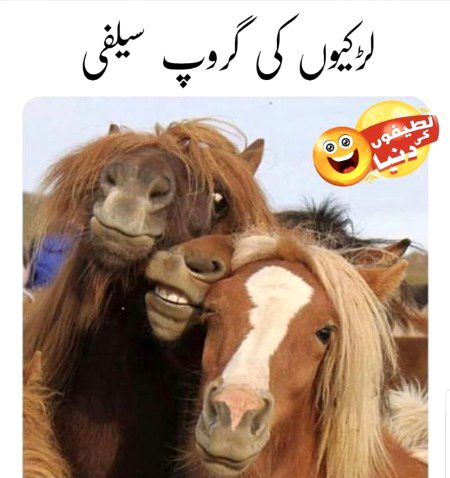 Memes & Satire image