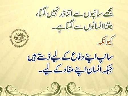 Bcuz humans have double face