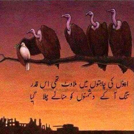 It's true