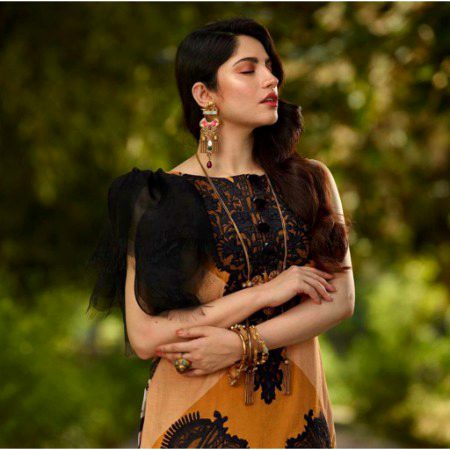 Pakistani Celebs image