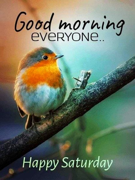 Beautiful Nature image