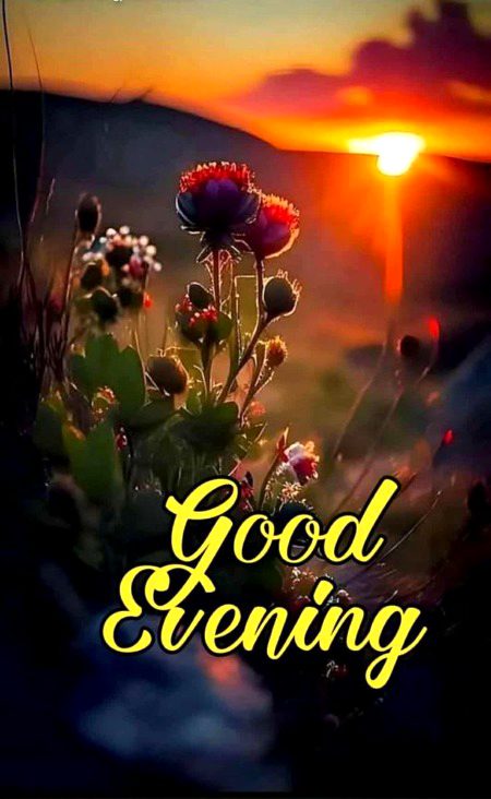 Beautiful Nature image