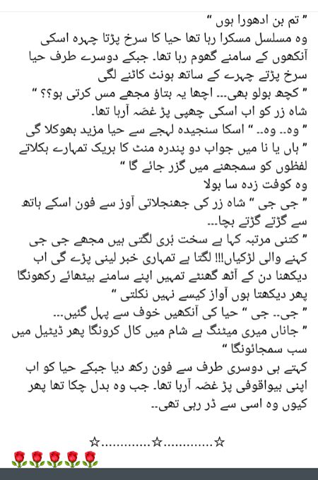 Romantic Novels image