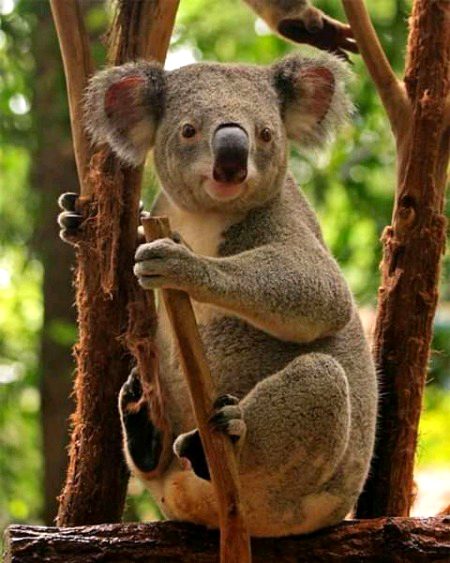 Beautiful Nature image