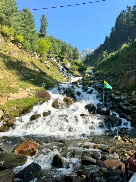 Beautiful Nature image