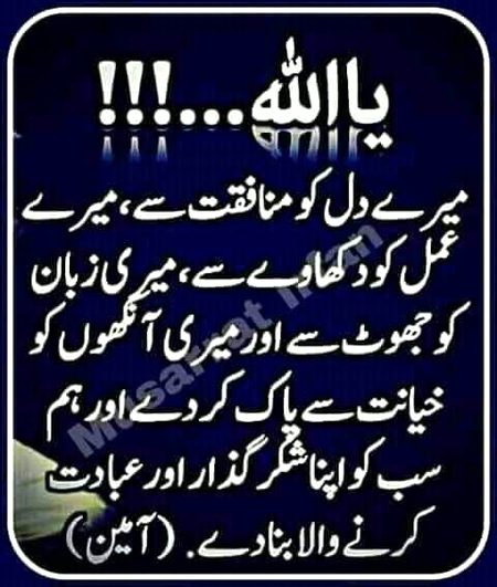 Islamic Quotes image