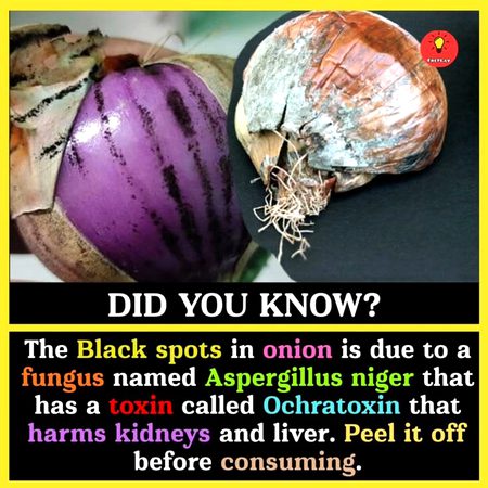 Interesting Posts image