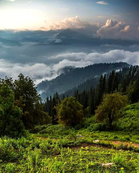 Beautiful Nature image