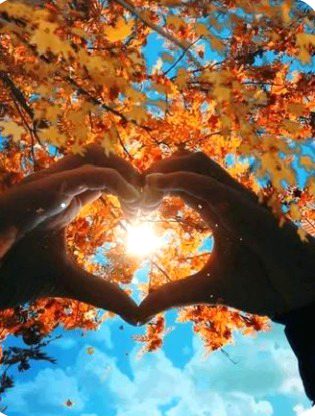 Beautiful Nature image