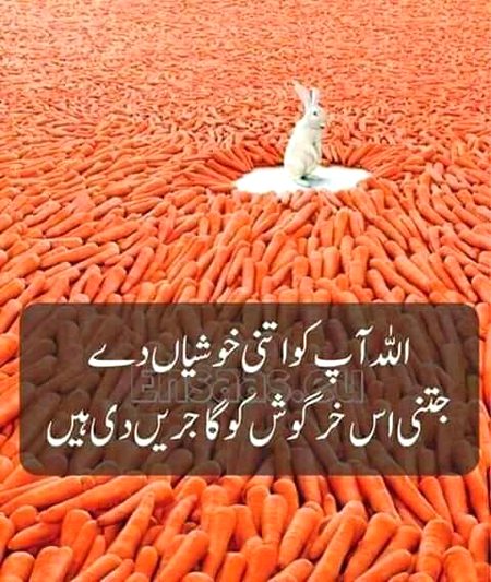 Ameen suma Ameen 🤲