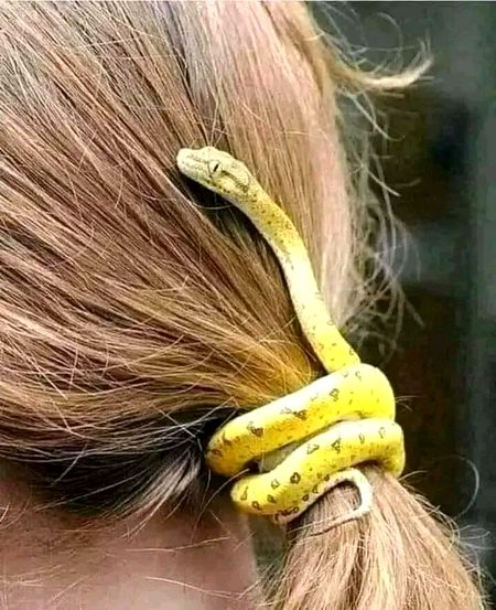 اتنی نرم طبیعت ہوں کہ چاہتی ہوں
جو آستین میں رہتے ہیں وہ بھی پل جائیں 🌚🔥