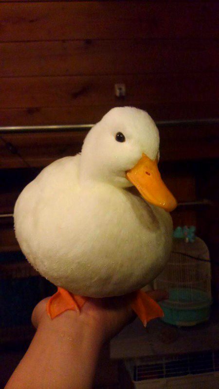 Beautiful Nature image