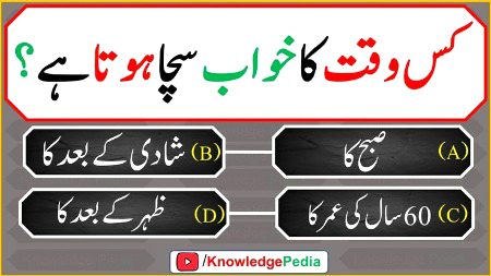 Knowledge Test image