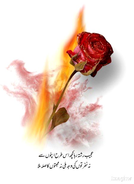 محبت کا صلہ ملا نفتروں سے۔