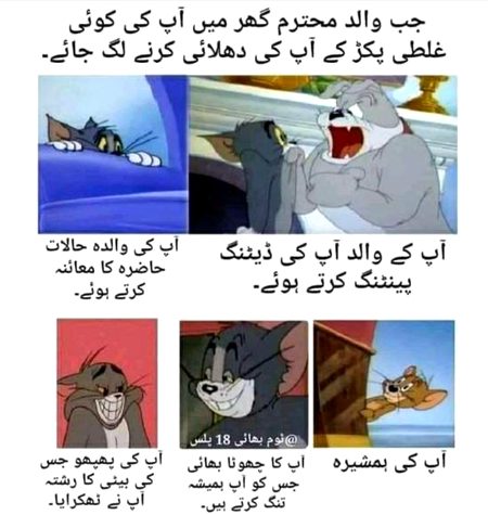 Memes & Satire image