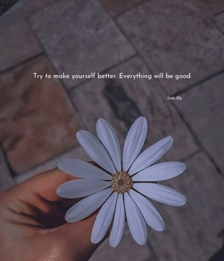 Life Advice image