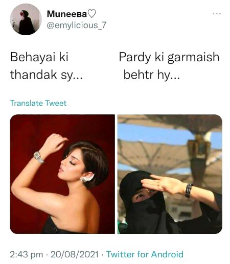 Memes & Satire image