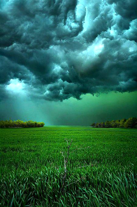 Beautiful Nature image