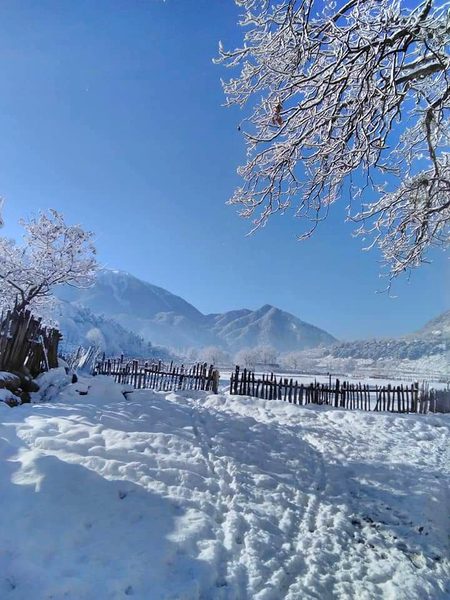 Beautiful Nature image