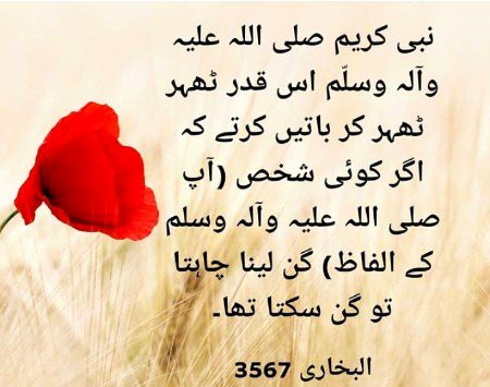 Islamic Quotes image