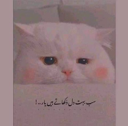 Hmm 💔💔💔