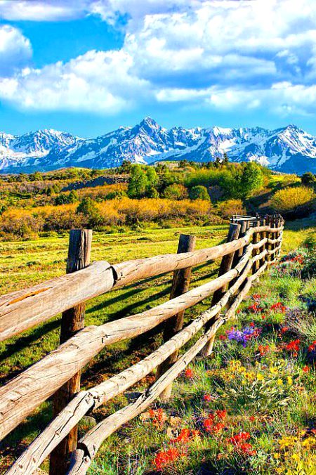 Beautiful Nature image