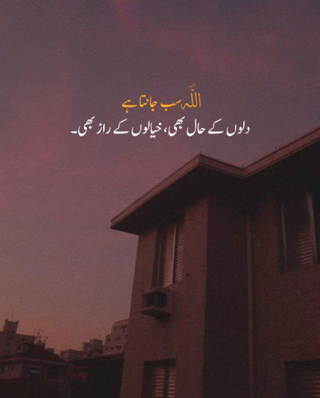 beshak❤