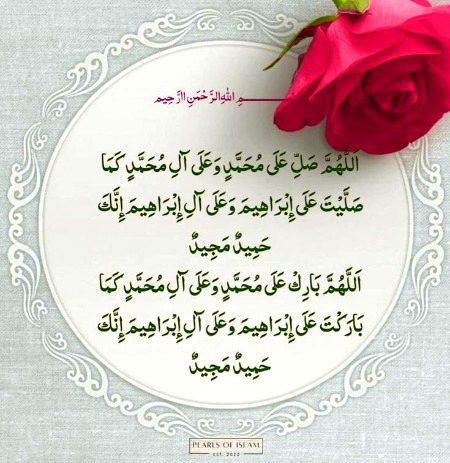 Pls ek bar parh ly ❣️