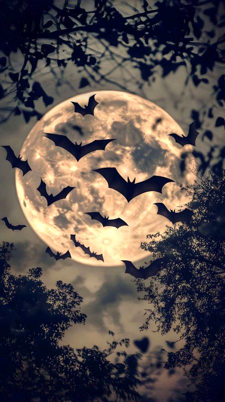 Beautiful Nature image